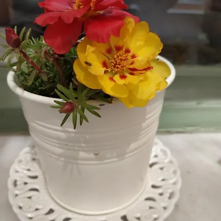 My Little Oda ve Kahvaltı Ermoupoli