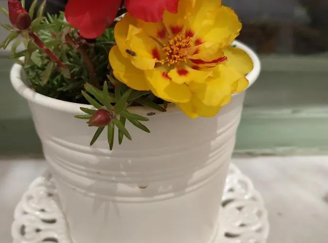 My Little Bed & Breakfast Ermoupoli