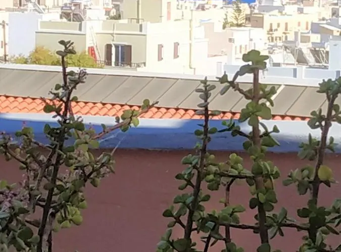 Bed & Breakfast My Little 4*